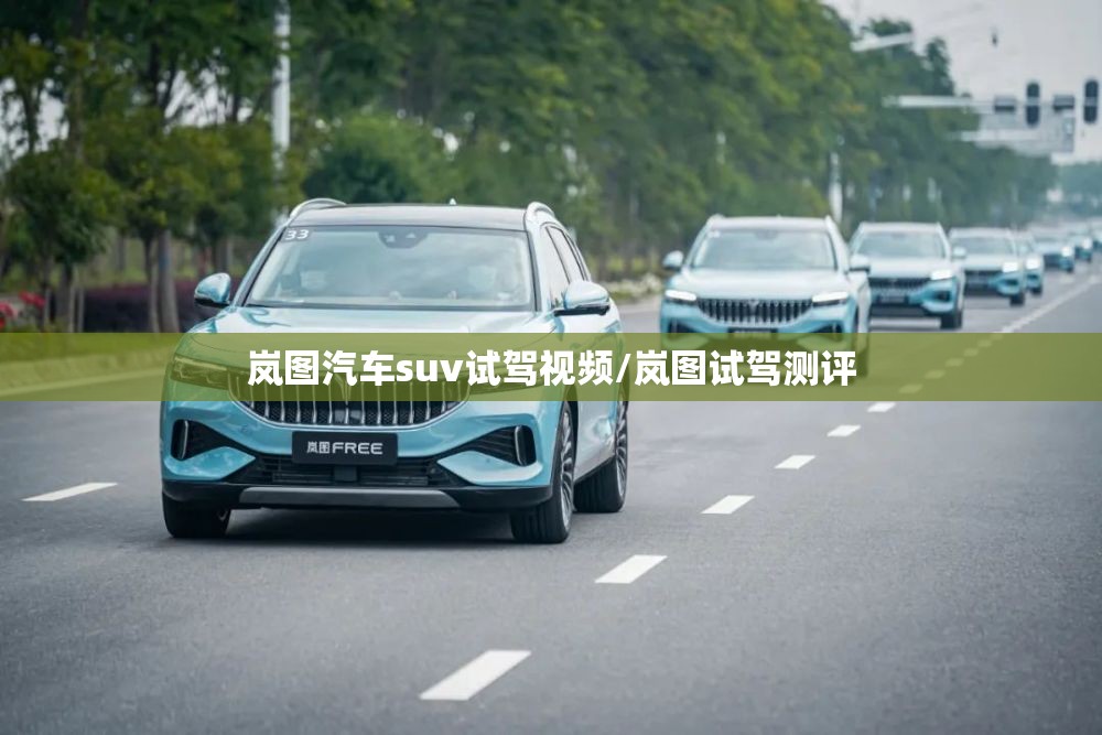 岚图汽车suv试驾视频/岚图试驾测评