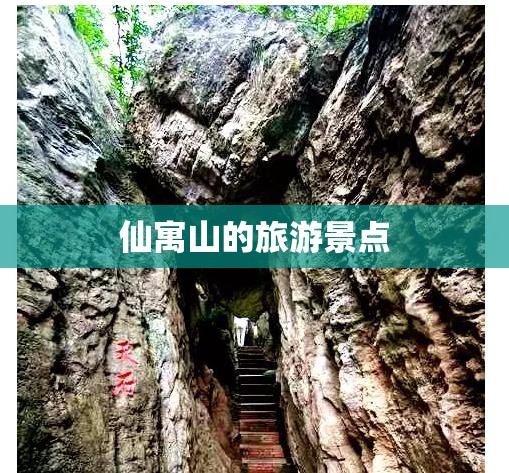 五菱mini甲壳虫价格表
