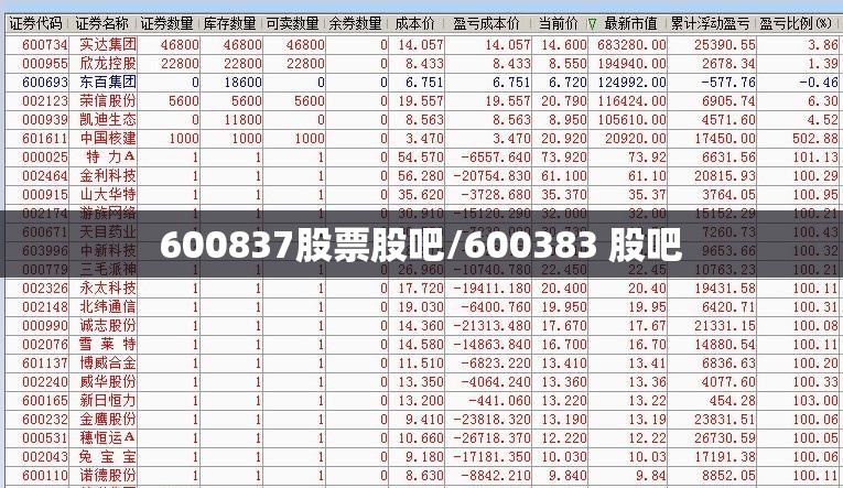 600837股票股吧/600383 股吧