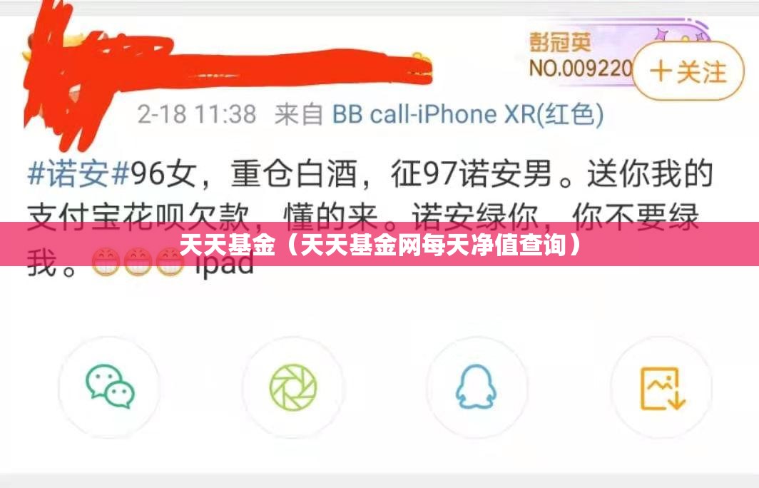 天天基金（天天基金网每天净值查询）