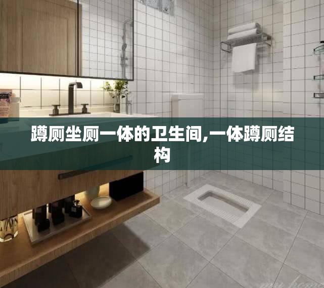 蹲厕坐厕一体的卫生间,一体蹲厕结构