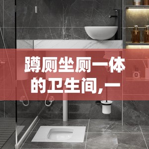 蹲厕坐厕一体的卫生间,一体蹲厕结构