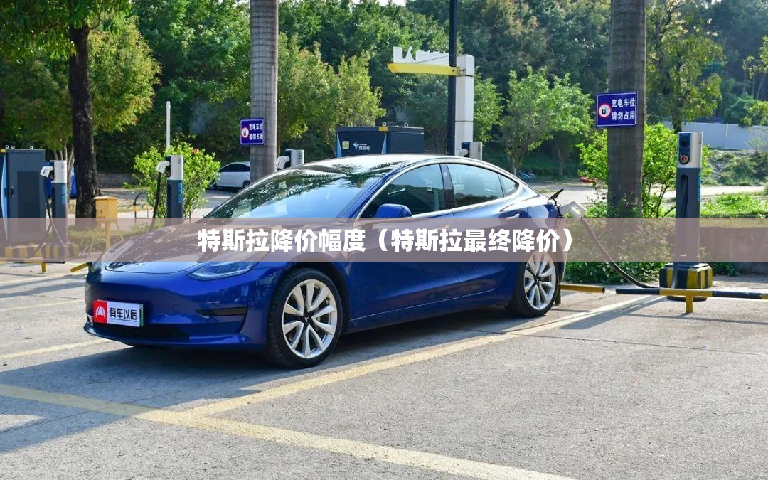 特斯拉降价幅度（特斯拉最终降价）
