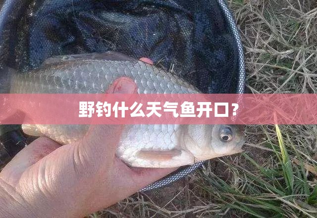 靖州至深圳市有多少里程？