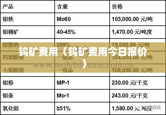 钨矿费用（钨矿费用今日报价）