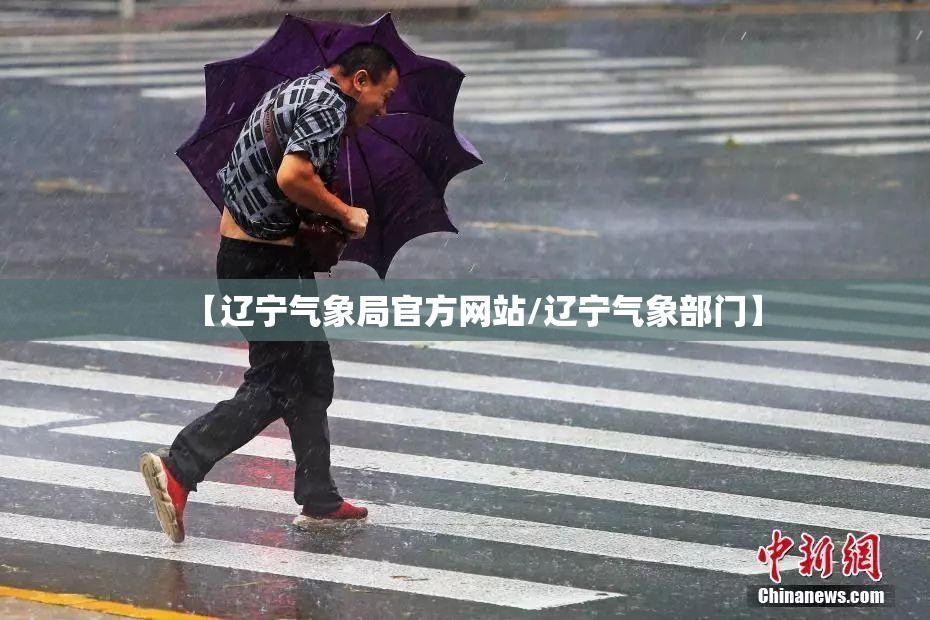 广发策略优选混合净值增长/270006广发策略优选