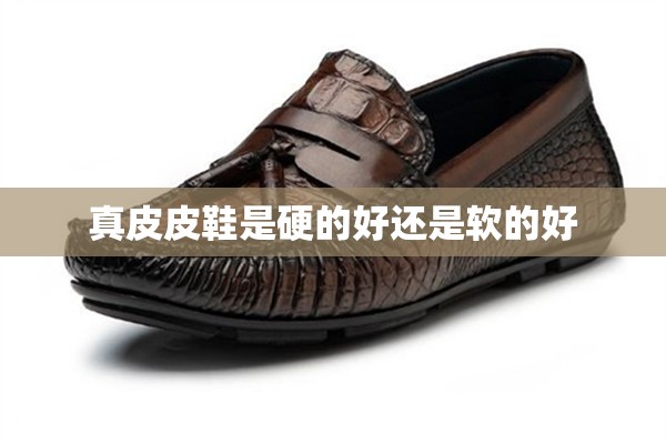 《童年》好句摘抄。
