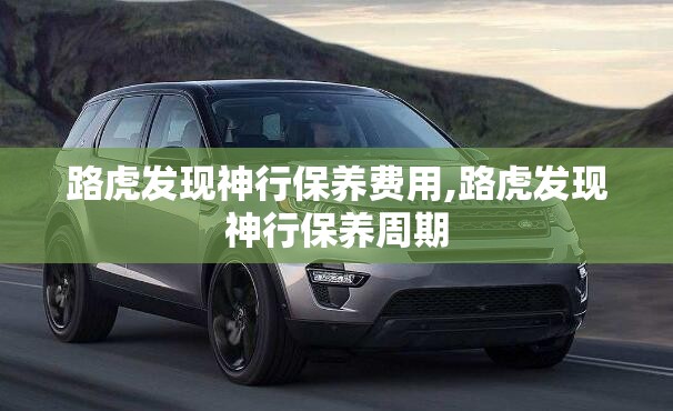 改装车常用的尾翼大都是什么牌子的？_1