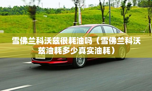雪佛兰科沃兹很耗油吗（雪佛兰科沃兹油耗多少真实油耗）