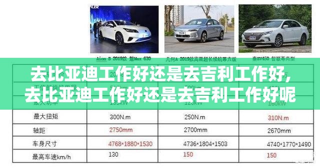 介绍一下山东齐鲁电视台主持人书匀。