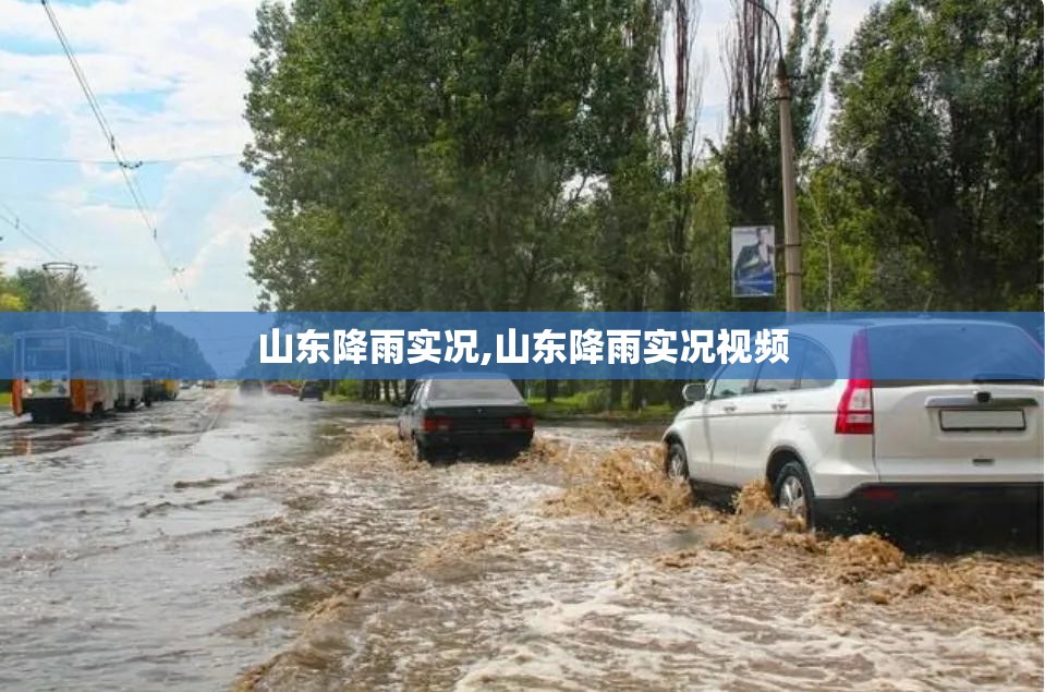 【美元近期走势分析,最近美元走势预测】