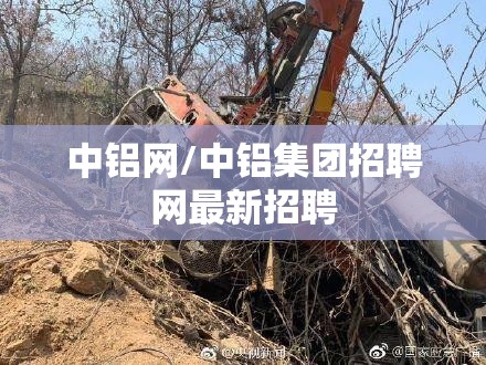 2022年为什么没人买汽车了/现在轿车为什么没人买了