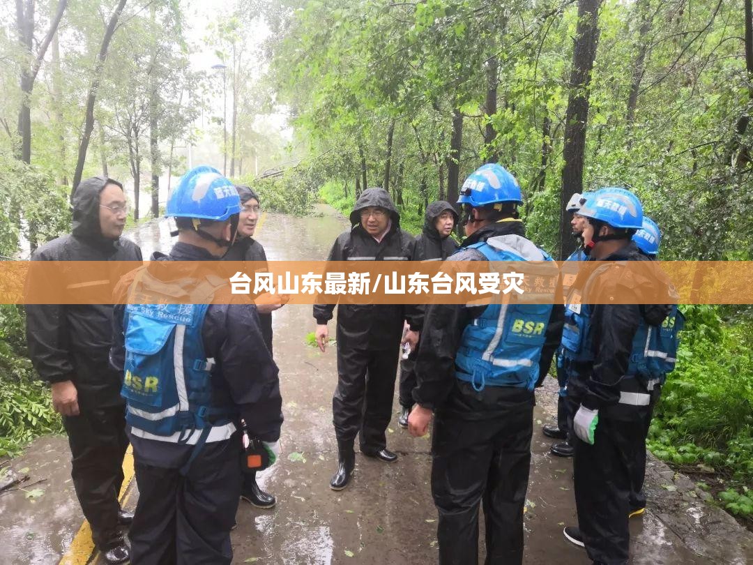 台风山东最新/山东台风受灾