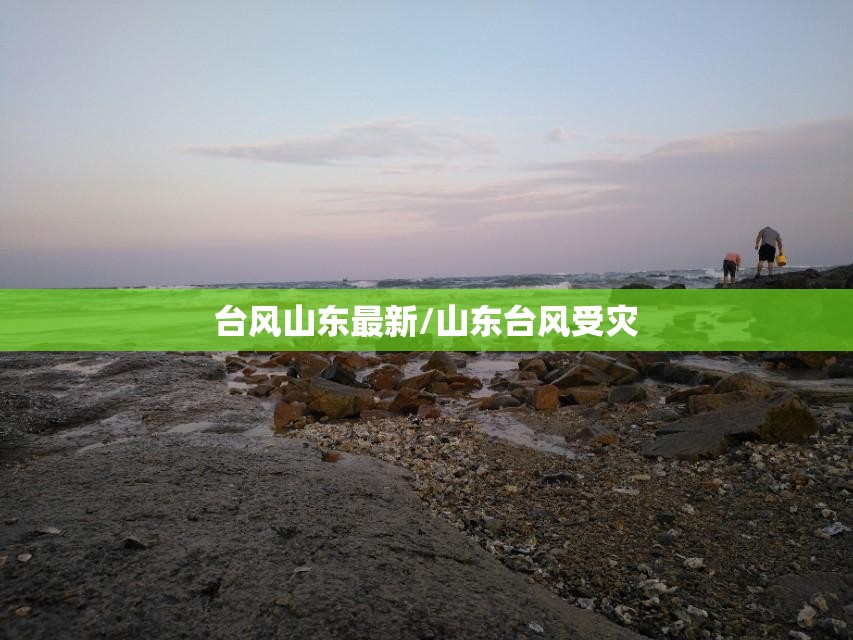 笔记本无线上网卡费用/笔记本无线上网卡的套餐费用