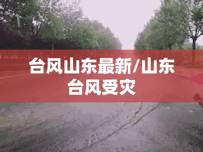 台风山东最新/山东台风受灾