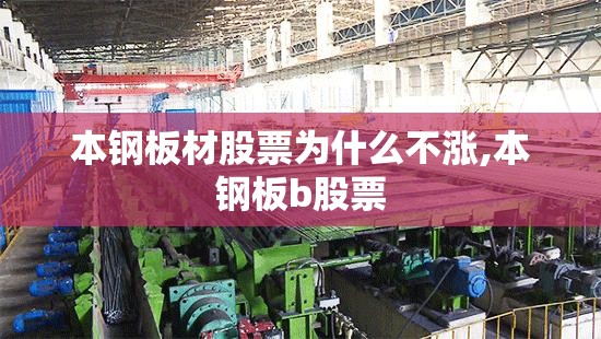 q7奥迪2024款费用参数,2021奥迪q7新款