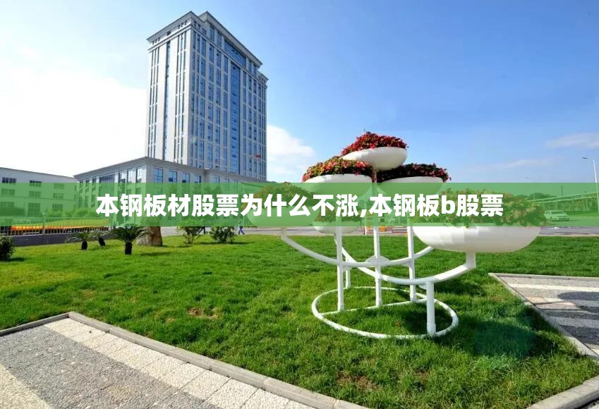 本钢板材股票为什么不涨,本钢板b股票