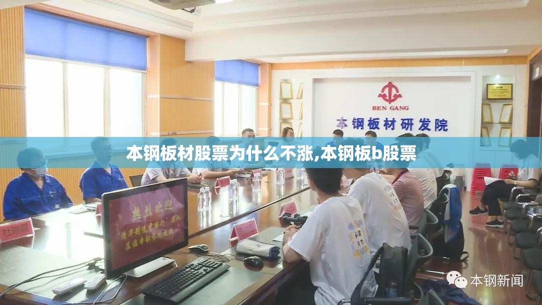本钢板材股票为什么不涨,本钢板b股票