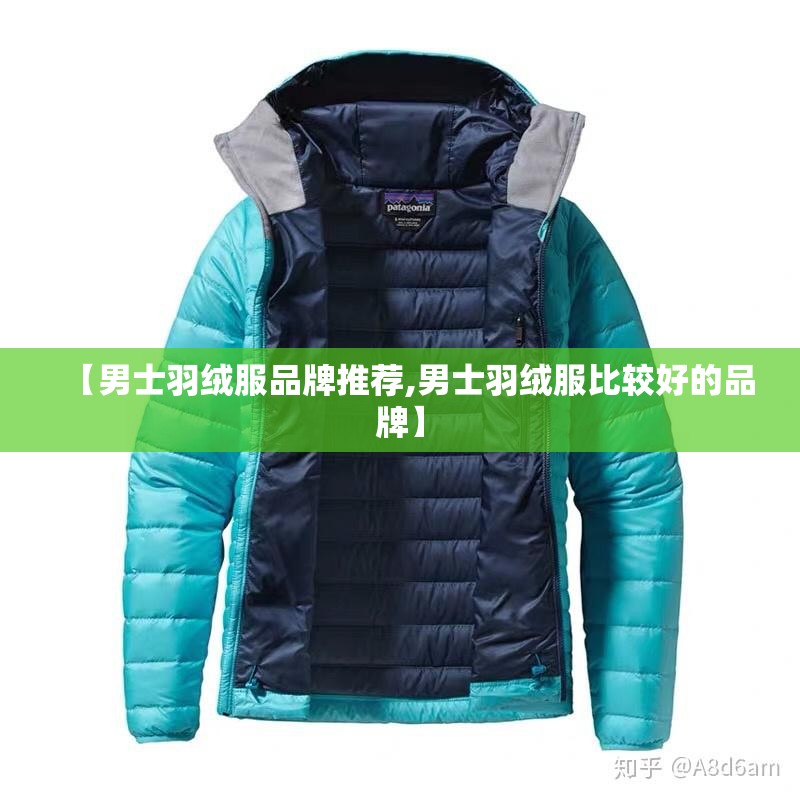 【男士羽绒服品牌推荐,男士羽绒服比较好的品牌】