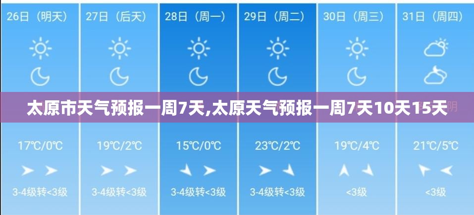 【九阳料理机/九阳料理机多少钱一台】