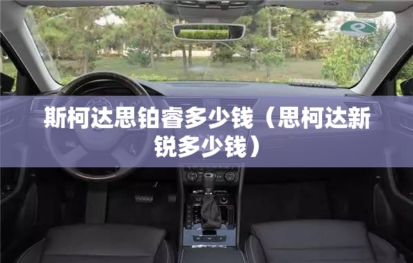 斯柯达思铂睿多少钱（思柯达新锐多少钱）