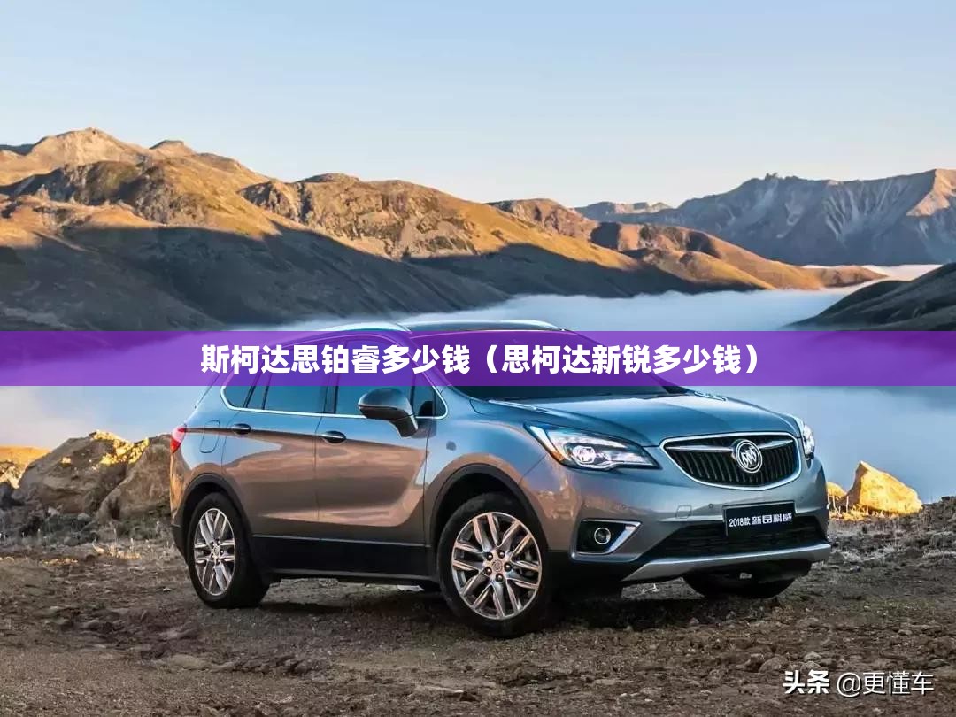 斯柯达思铂睿多少钱（思柯达新锐多少钱）