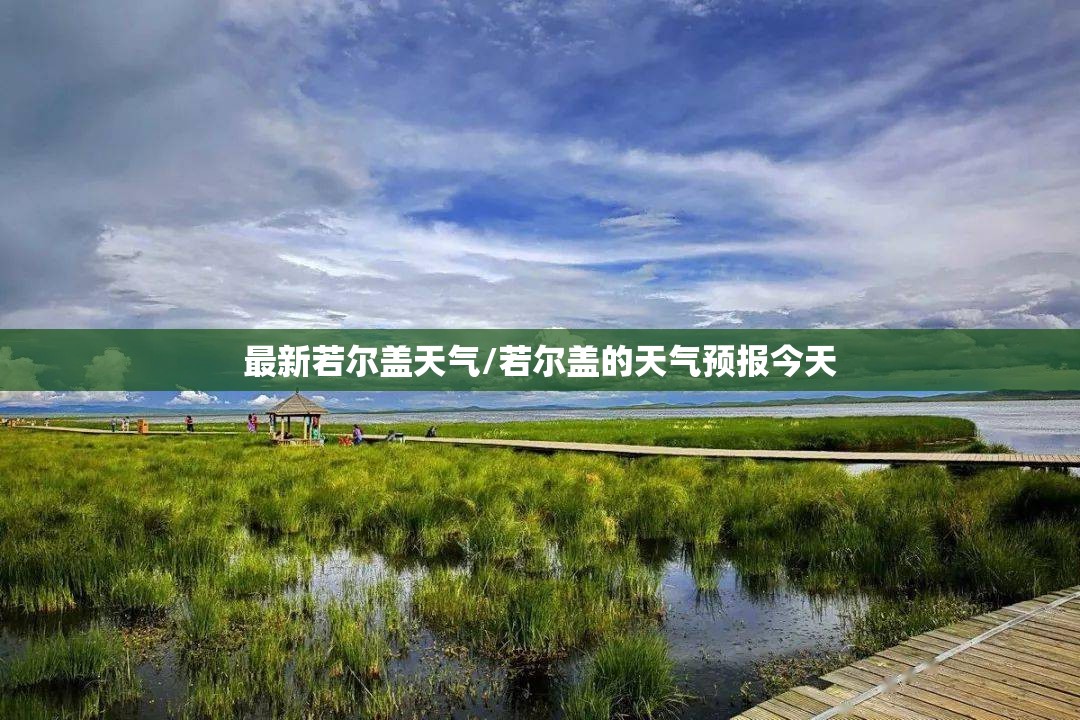 【篮网近来排名/篮网排名第一】
