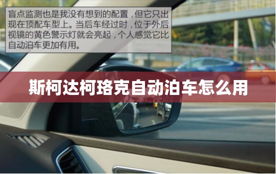 本钢板材股票为什么不涨,本钢板b股票