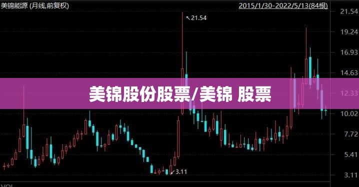 美锦股份股票/美锦 股票
