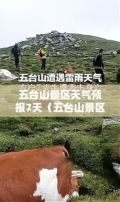 北京天气2345天气预报/北京天气预报实时查询24