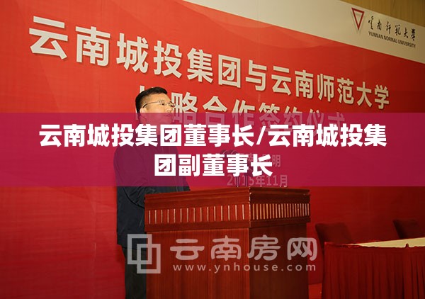云南城投集团董事长/云南城投集团副董事长