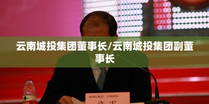 云南城投集团董事长/云南城投集团副董事长