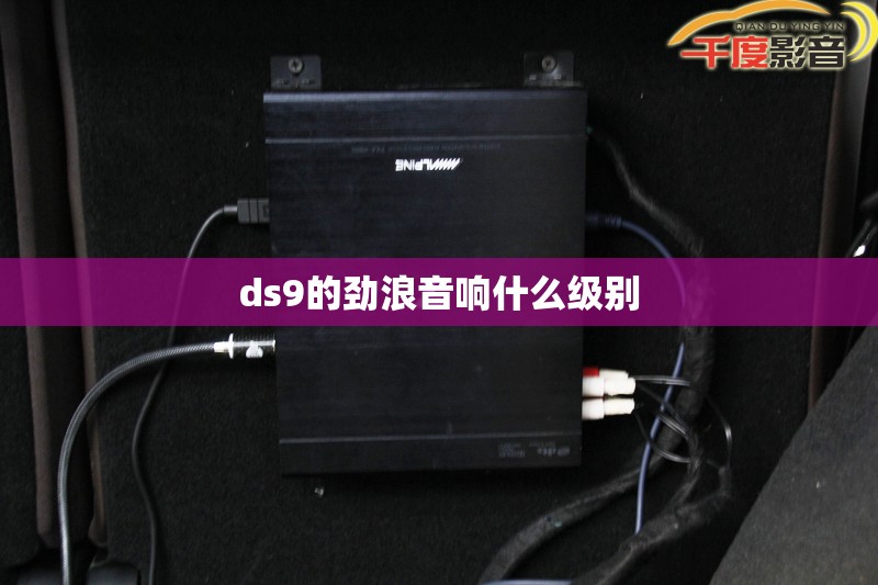 ds9的劲浪音响什么级别