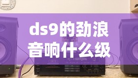 ds9的劲浪音响什么级别