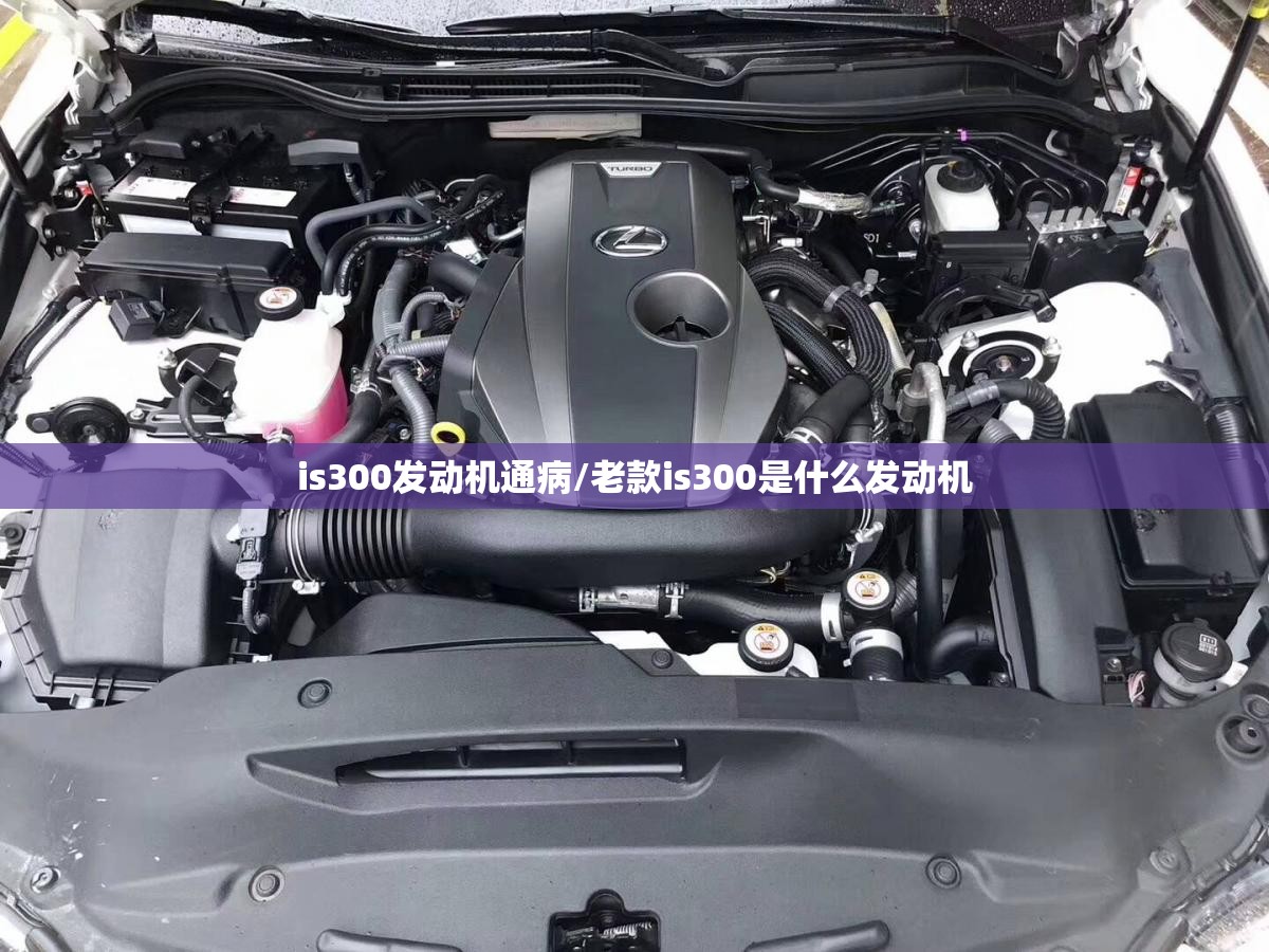 比亚迪哪款新能源最好？