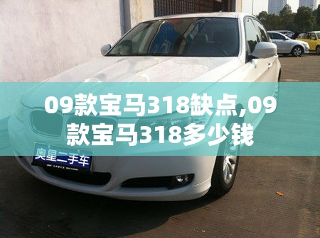 09款宝马318缺点,09款宝马318多少钱