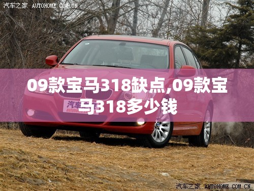 09款宝马318缺点,09款宝马318多少钱