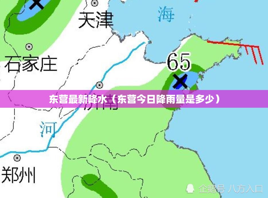 东营最新降水(东营今日降雨量是多少) 东营最新降水(东营今日降雨量是多少)