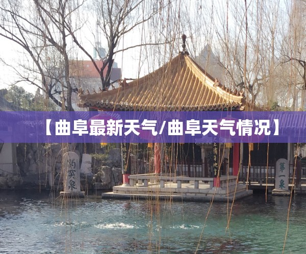 尾崎八项极限挑战是真的么-