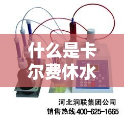 什么是卡尔费休水分仪的卡尔费休滴定法- 什么是卡尔费休水分仪的卡尔费休滴定法-