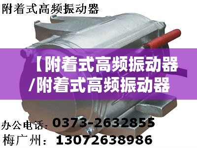 【附着式高频振动器/附着式高频振动器厂家】 【附着式高频振动器/附着式高频振动器厂家】