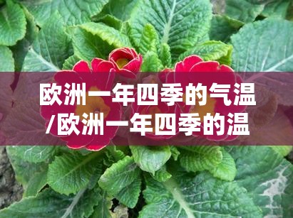 欧洲一年四季的气温/欧洲一年四季的温度