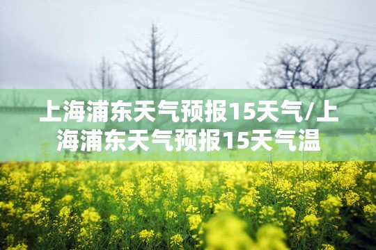 上海浦东天气预报15天气/上海浦东天气预报15天气温 上海浦东天气预报15天气/上海浦东天气预报15天气温