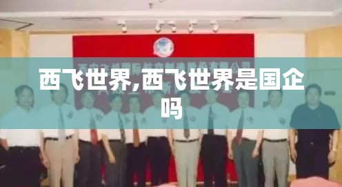 迈锐宝xl五大质量缺陷