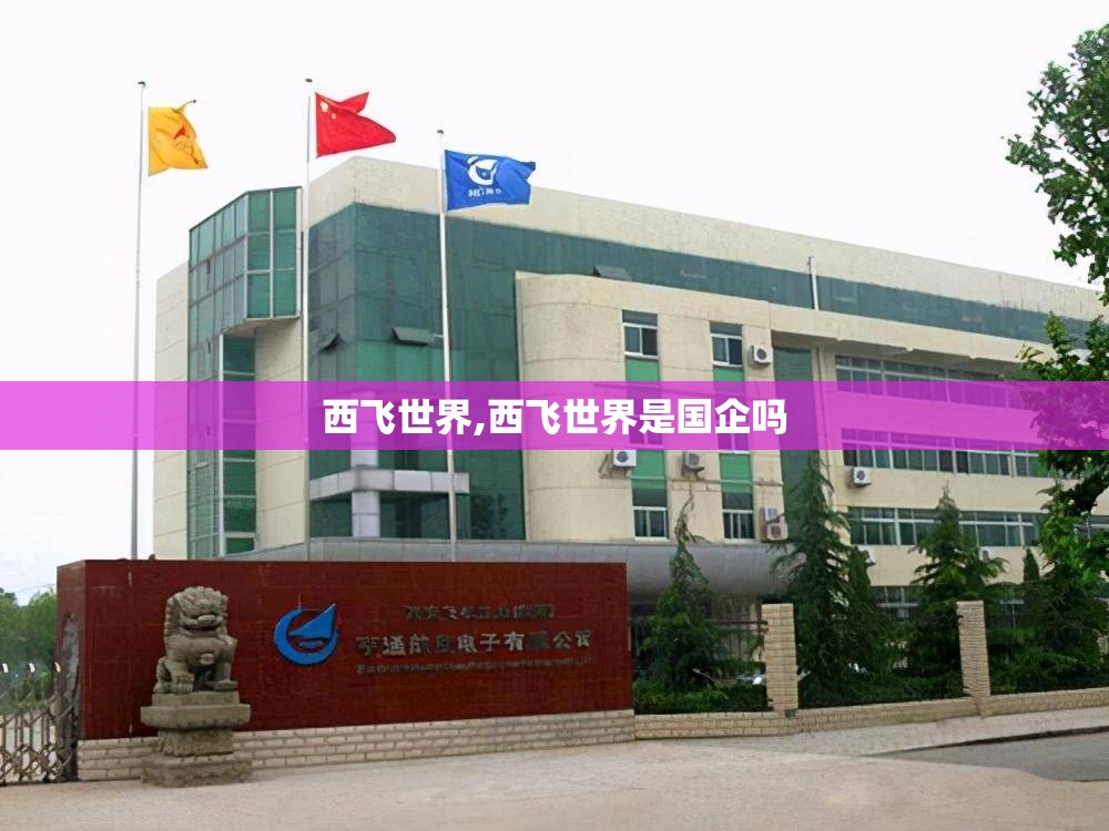 西飞世界,西飞世界是国企吗