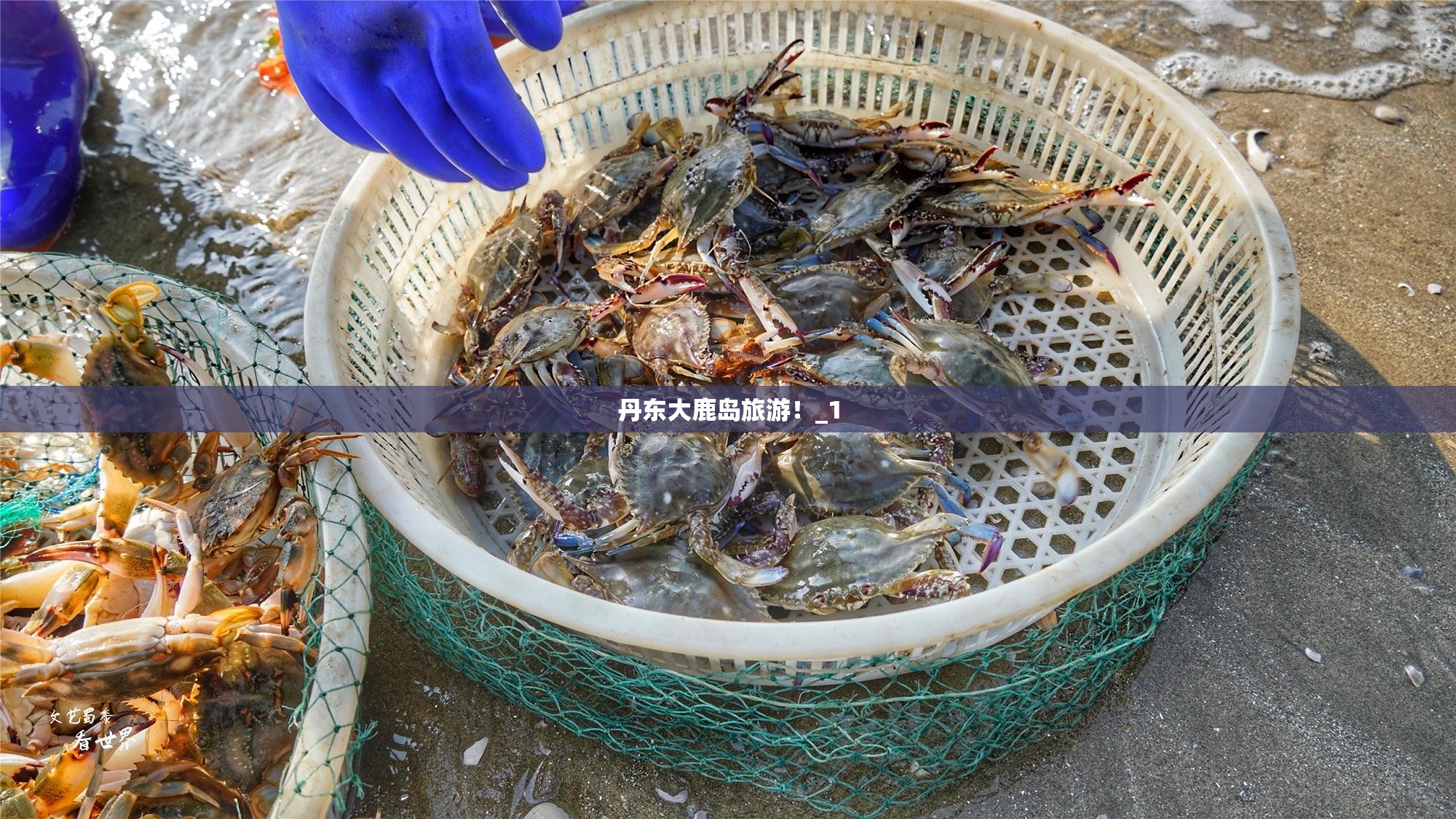 丹东大鹿岛旅游！_1