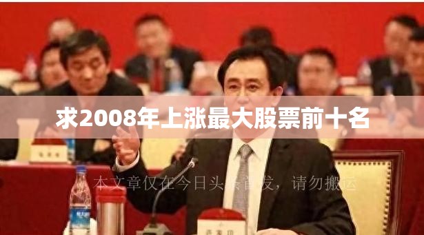 求2008年上涨最大股票前十名 求2008年上涨最大股票前十名