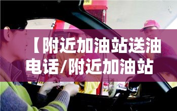宁夏中卫旅游十大景点