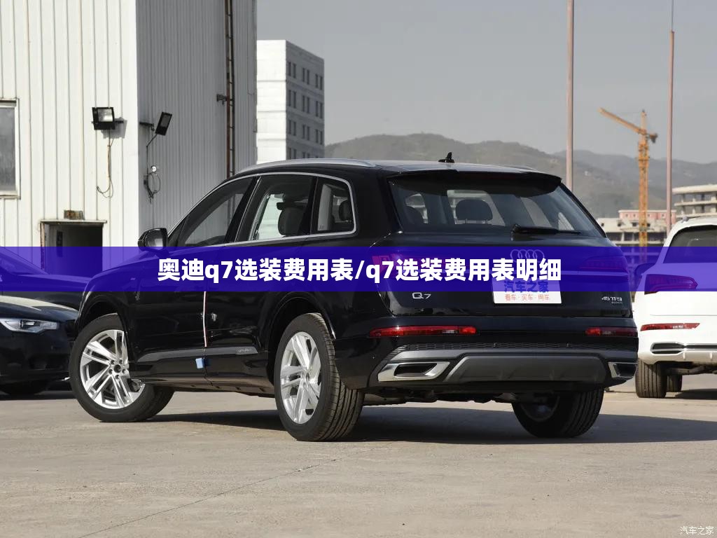奥迪q7选装费用表/q7选装费用表明细
