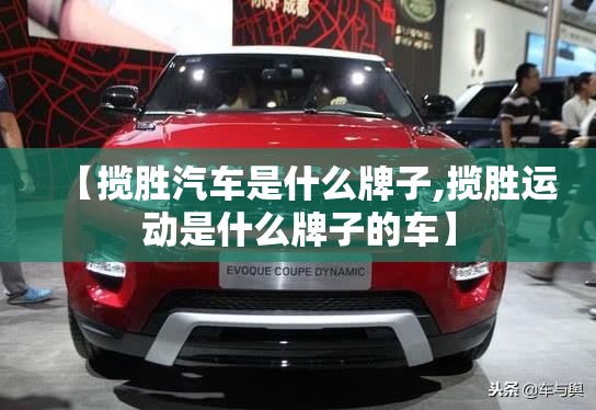 求2008年上涨最大股票前十名